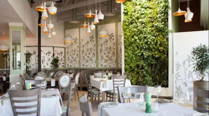 The dining room at Cafe del Sol Botanico, with its signature living green wall and elegant botanical decor